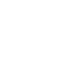 Blazin Craft Burgers & Wings